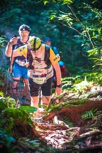 BIB: 9664
                            <button type="button" onclick="openModal(19329289)" class="btn btn-primary btn-sm float-right btn-popup" data-toggle="modal" data-target=".modal-high-quality">
                        <i class="fas fa-shopping-cart"></i> Add to Cart
                    </button>
                                            <button type="button" onclick="isThisMe(19329289, true)" class="btn btn-success btn-sm float-right btn-popup btn-isme hidden" data-toggle="tooltip" data-placement="bottom" title="นี่คือรูปของคุณใช่ไหม คลิกที่นี่เพื่อเอาเข้าอัลบั้ม">
                        <i class="fas fa-plus"></i> Add to album
                    </button>
                    <button type="button" onclick="isThisMe(19329289, false)" class="btn btn-warning btn-sm float-right btn-popup btn-isnotme hidden">
                        <i class="fas fa-ban"></i> Remove from album
                    </button>